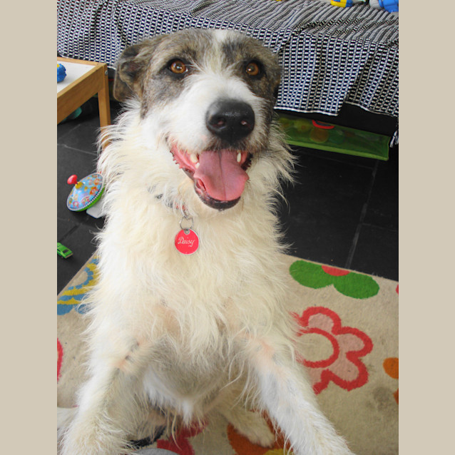 Photo of Daisy