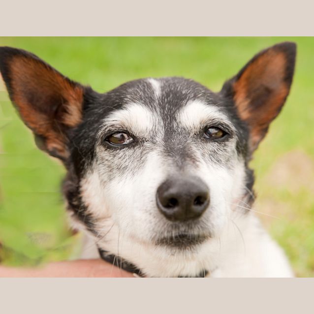 Photo of Alan Id5994