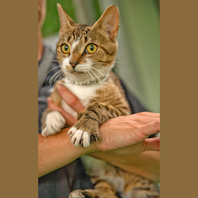 Photo of Tabatha Id 5843