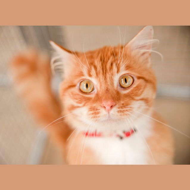 Photo of Gerald Id 5533