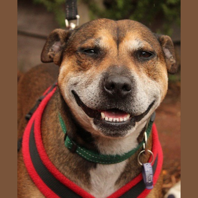 Photo of Buster