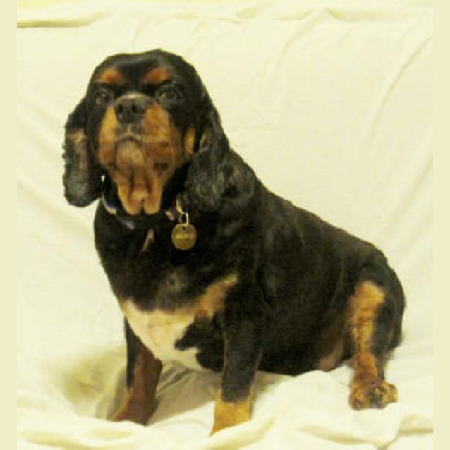 Photo of Thumpa