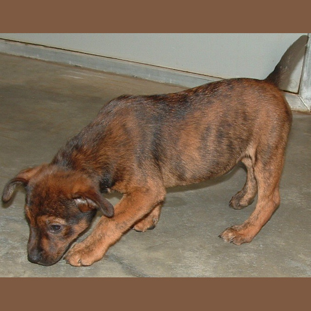 Photo of Rafe