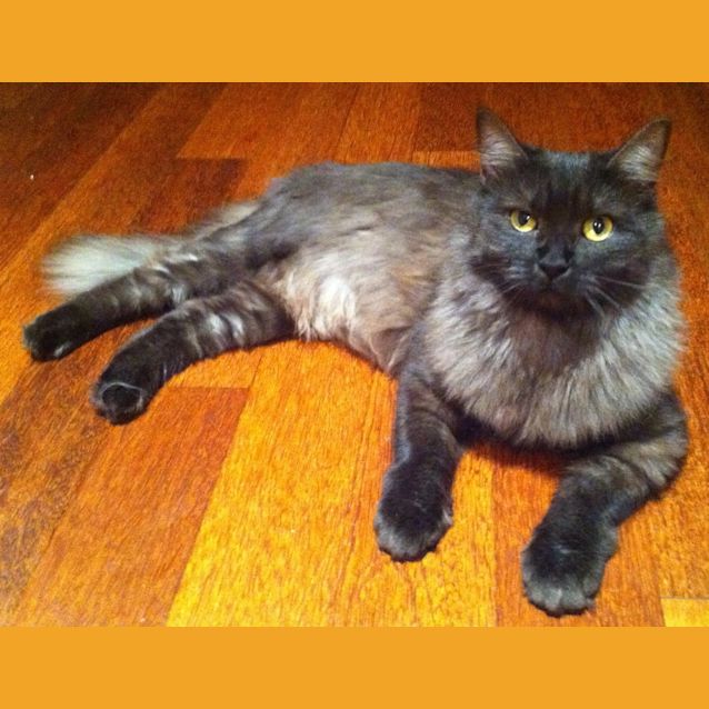 Photo of Lilly