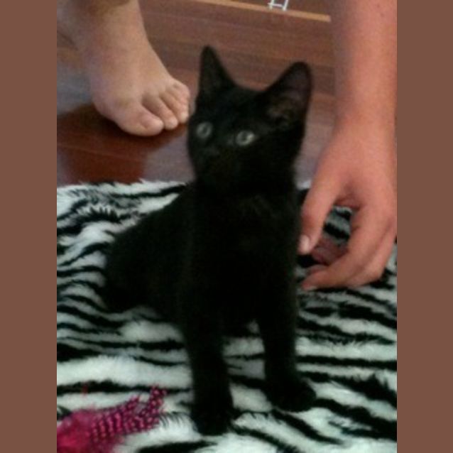 Photo of Zelda