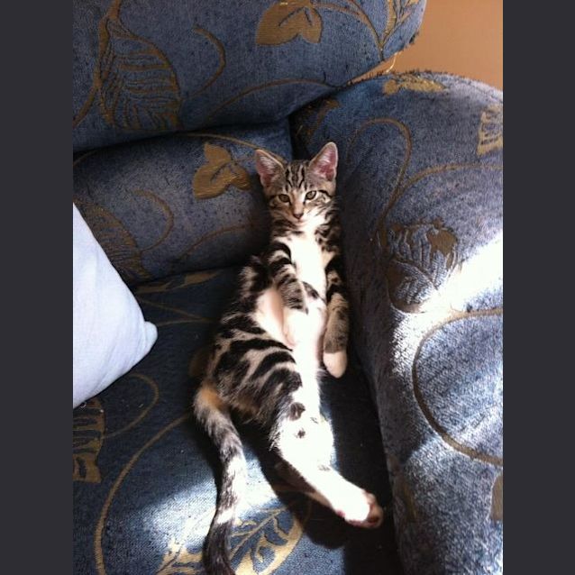 Photo of Deigo