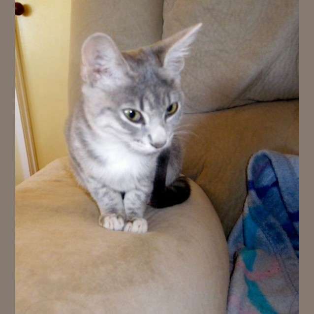 Photo of Silvie
