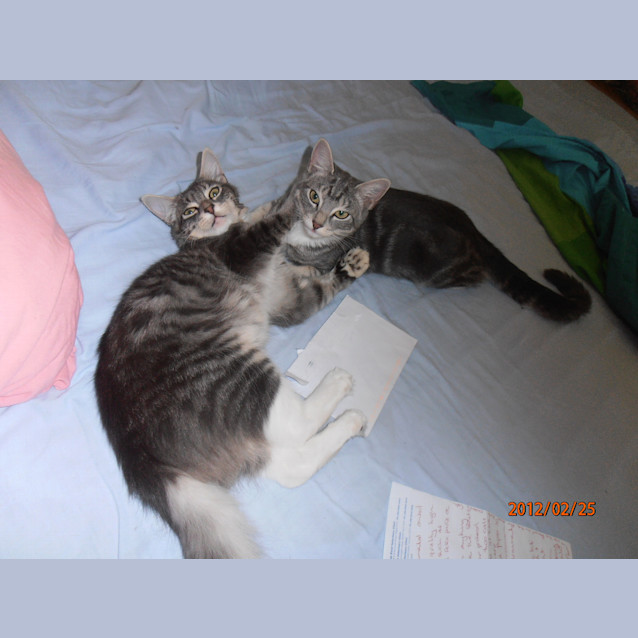 Photo of Penelope And Paris