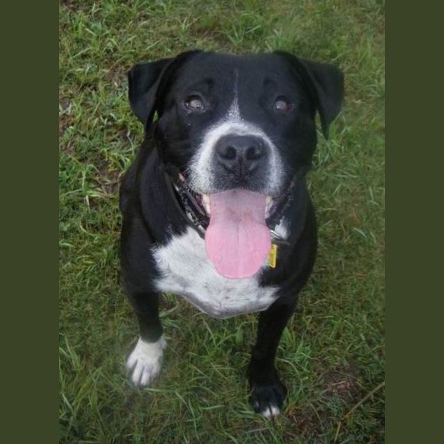 Photo of Roscoe