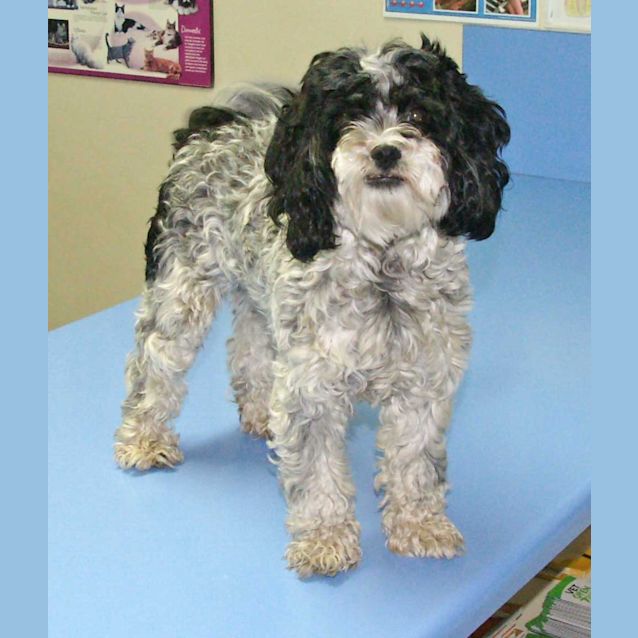 Photo of Lilly