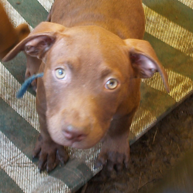 Photo of Linc