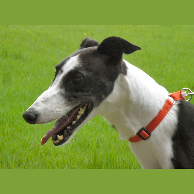 Photo of Jamie   Checking Out My New Home