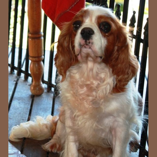 Photo of Maggie May