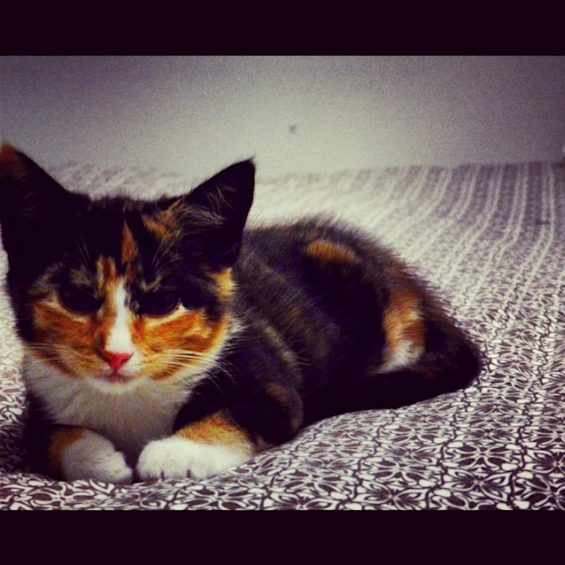 Photo of Charlotte