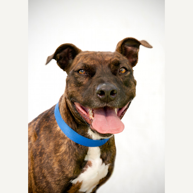 Photo of Xena