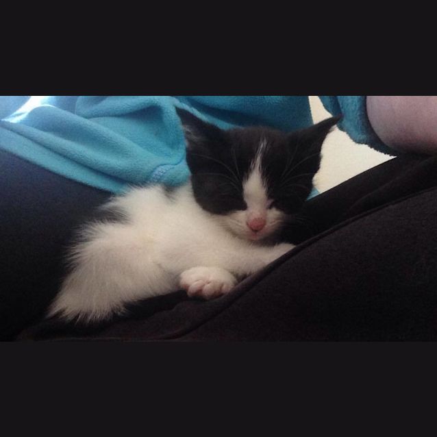 Photo of Phoebe