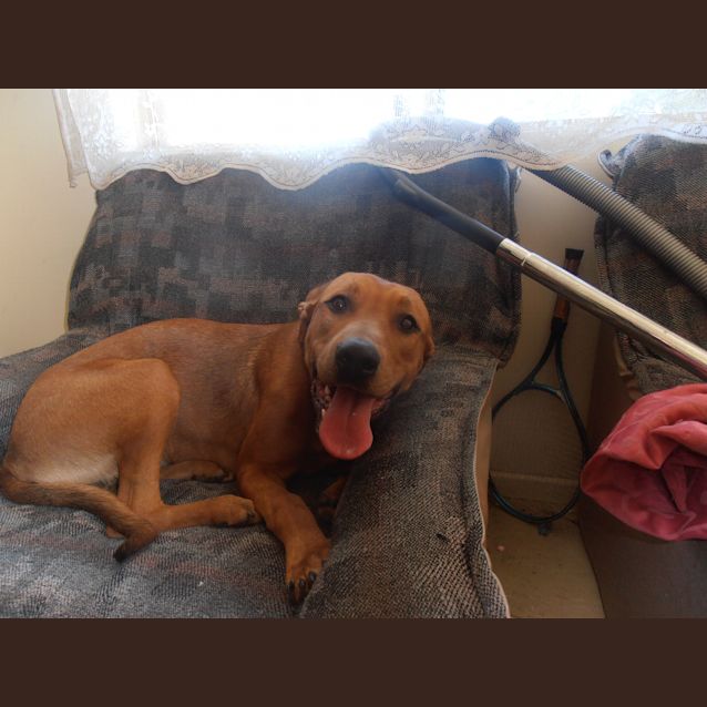 Photo of Tahlia   She Is A Real Sweetheart