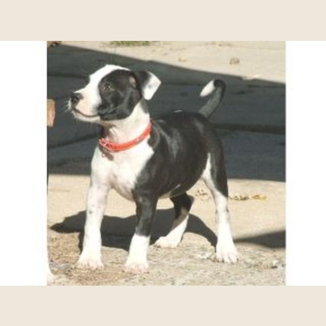 Photo of Holly
