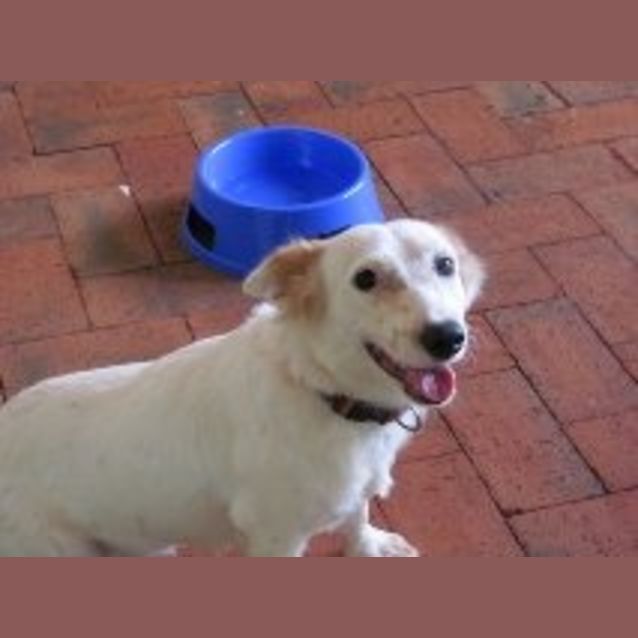 Photo of Lucy