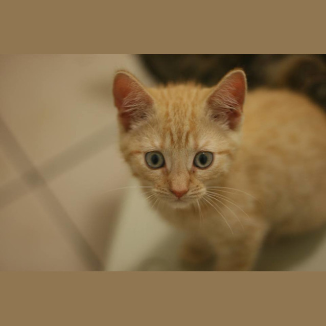 Photo of Fredrick 