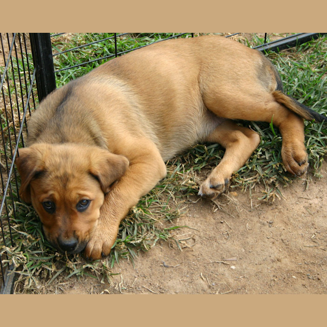 Photo of Heidi