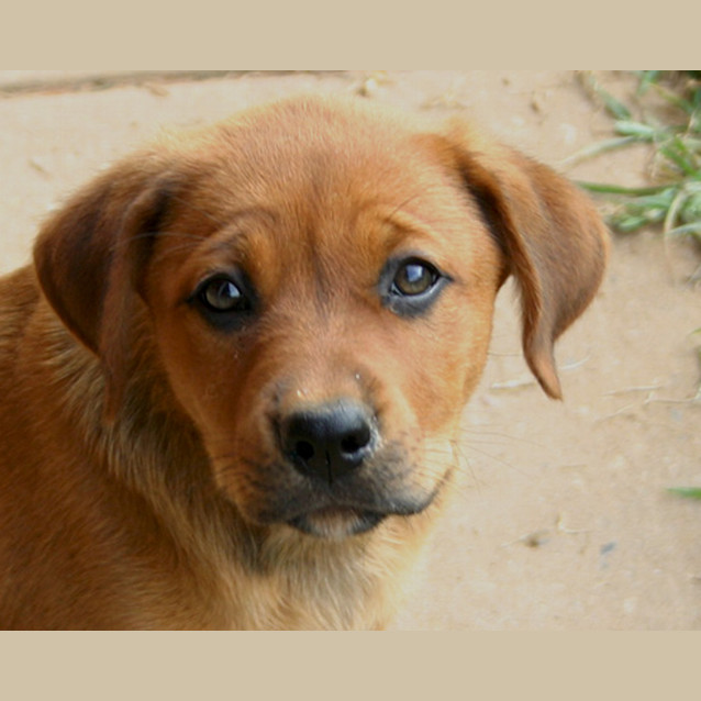 Photo of Hilda
