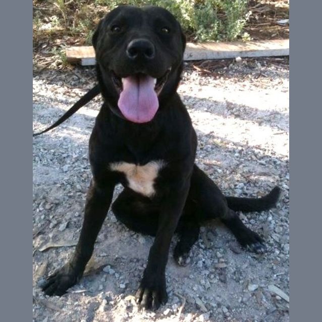 Photo of Prince Portius