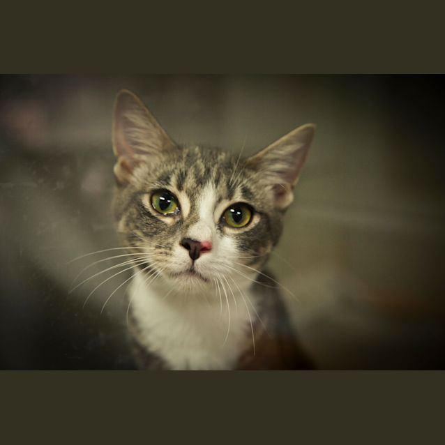 Photo of Narla