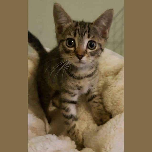 Photo of Monty 