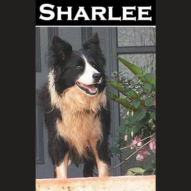 Photo of Sharlee