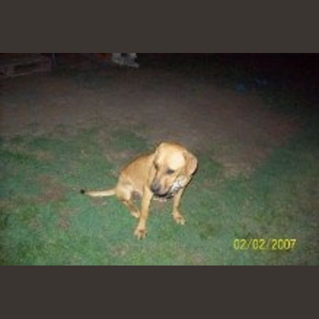 Photo of Lady