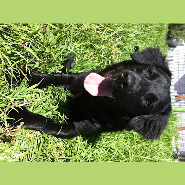 Photo of Magnificent Milly