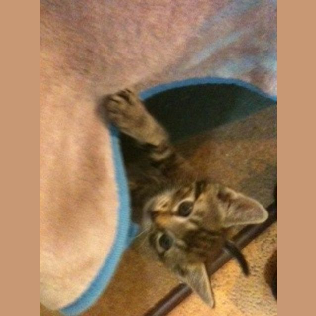 Photo of Timothy