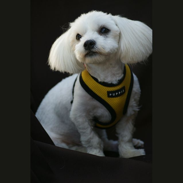 Photo of Mikey