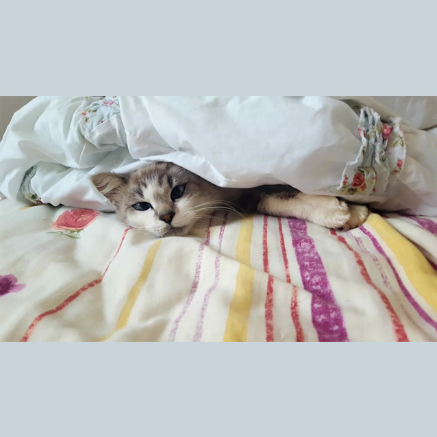 Photo of Dior (Located In Tullamarine)