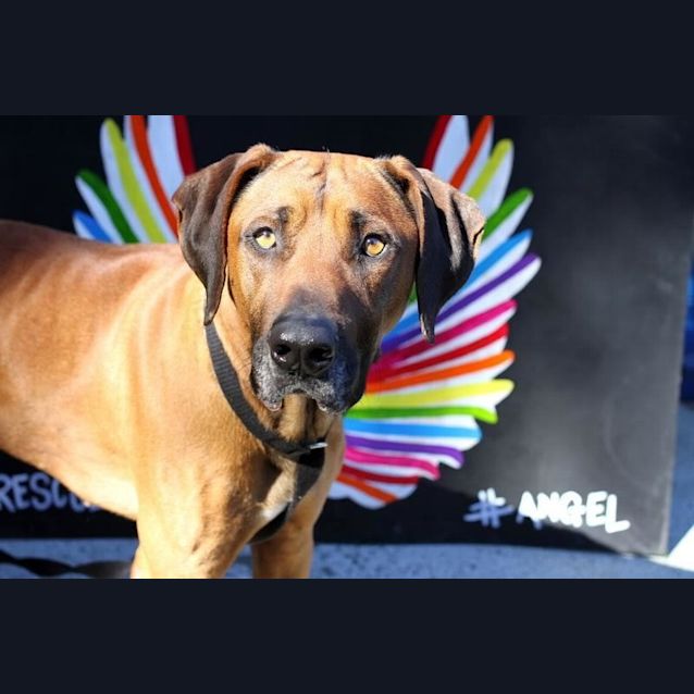 Photo of Hunter