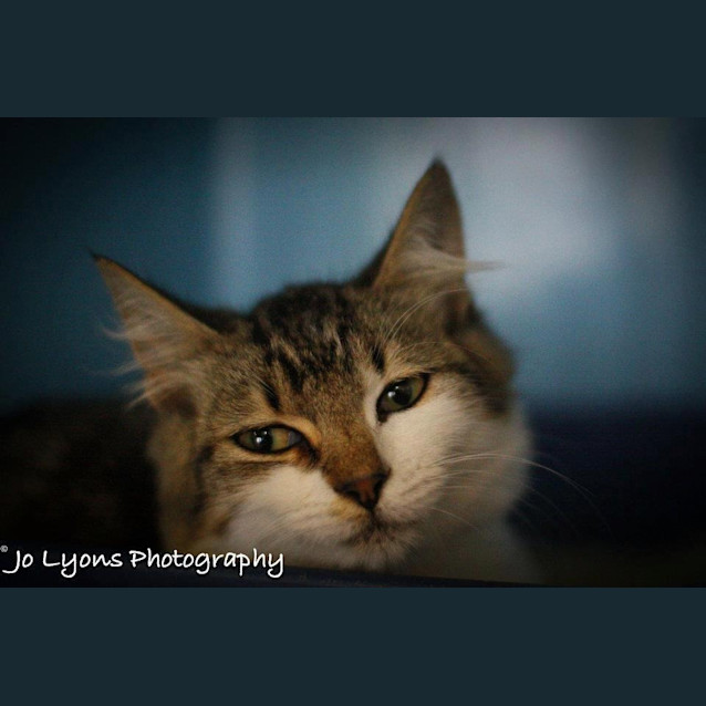 Photo of Ceebee