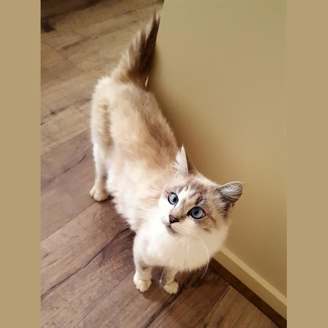 Photo of Dior (Located In Tullamarine)