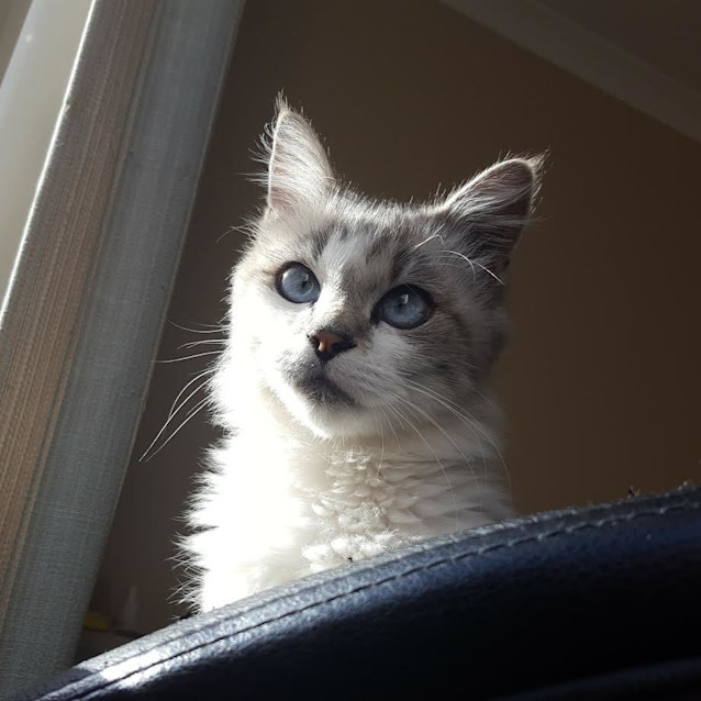 Photo of Dior (Located In Tullamarine)