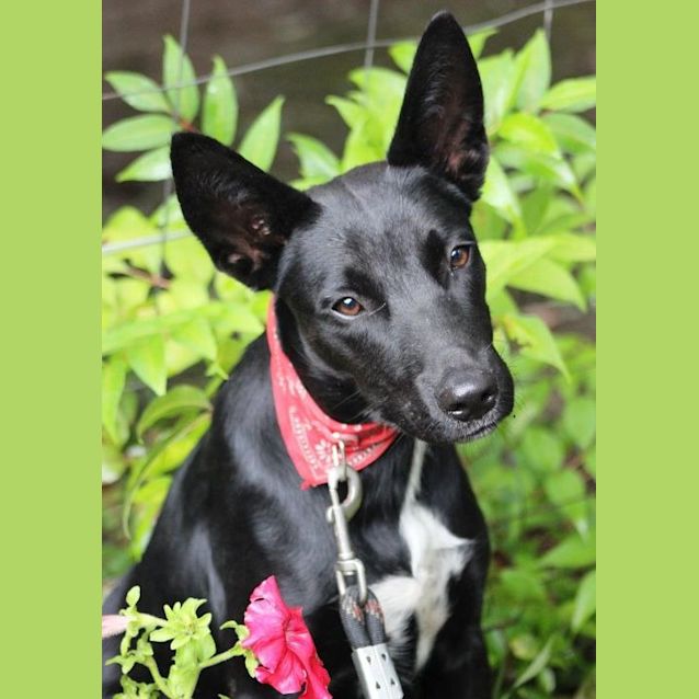 Photo of Max