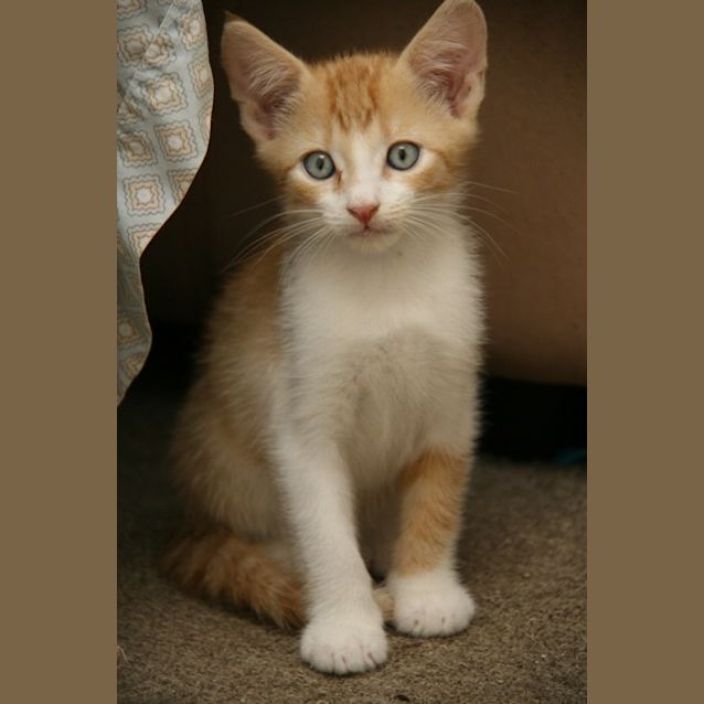 Photo of Mr Butters