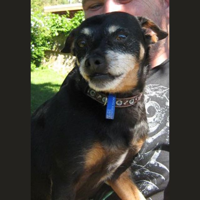 Photo of Pepper (On Trial)
