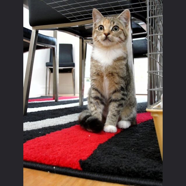 Photo of Chloe