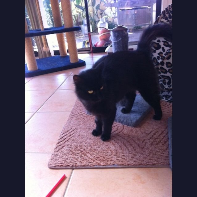 Photo of Zena
