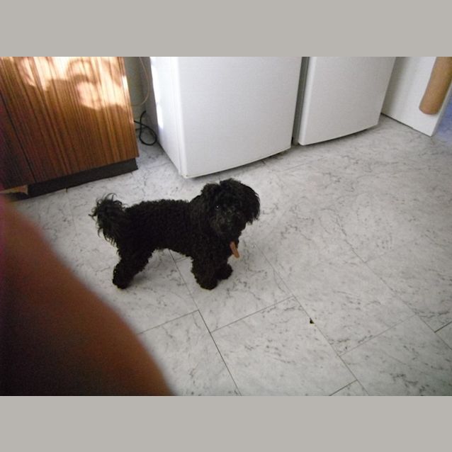 Photo of Ricco