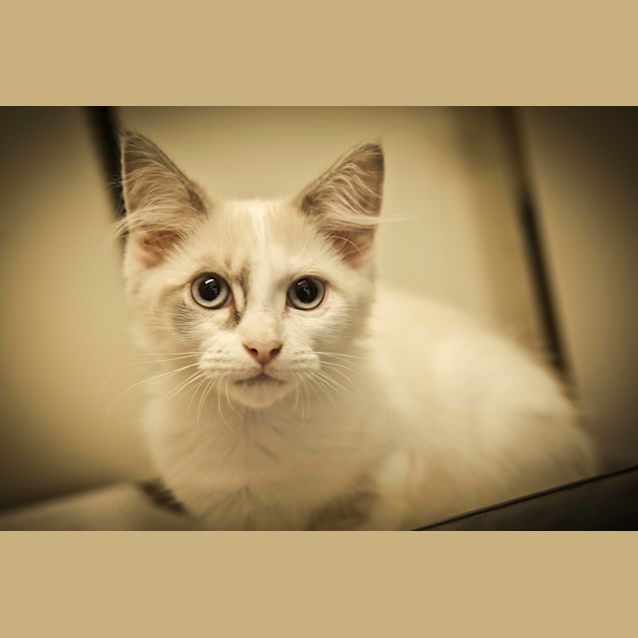 Photo of Lilly