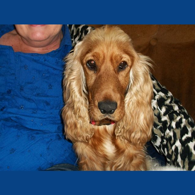 Photo of Meeka