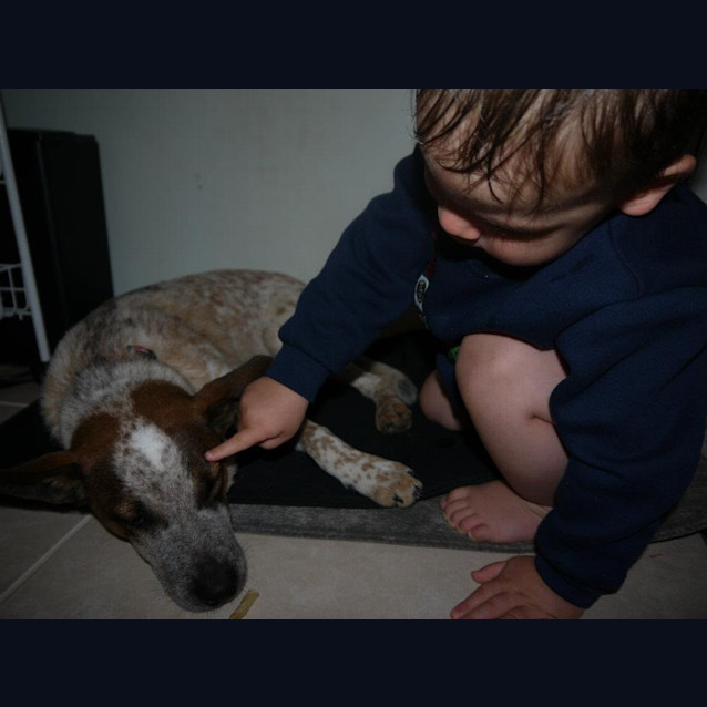 Photo of Max