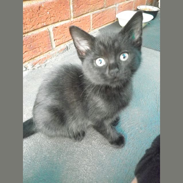 Photo of Maxi