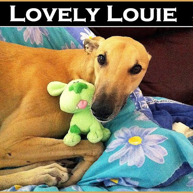 Photo of Louie